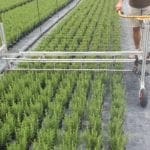 POTATRICE ORIZZONTALE MTA MSC