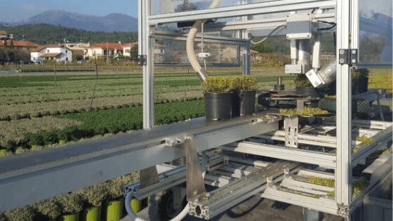 Immagine Potatrice meccanica per piante in vaso brevettata Moirano Costruzioni Meccaniche