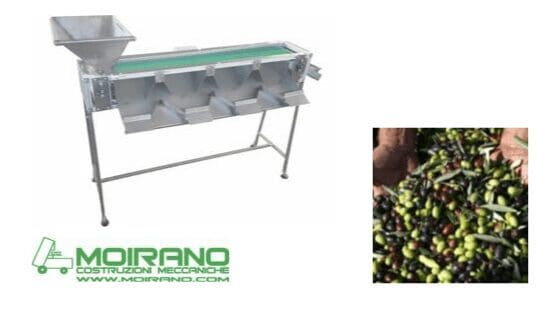 Immagine Calibratrice meccanica per olive CLM 15 Moirano Costruzioni Meccaniche