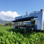 TAGLIARACCOGLITRICE ELETTRICA MTBR ECO