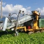 TAGLIA RACCOGLITRICE ELETTRICA MTBR ECO MOIRANO PER BASILICO, INSALATINE, AROMATICHE