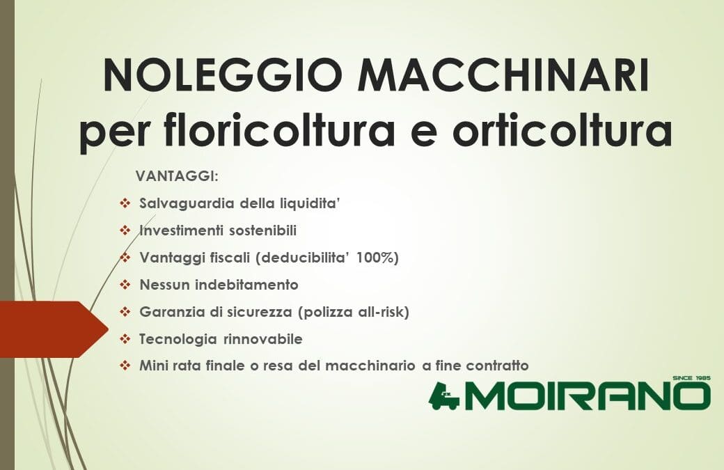NOLEGGIO A LUNGO TERMINE
