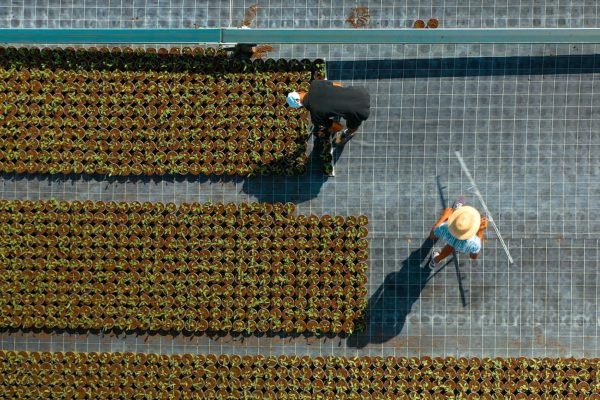 INVASATRICE EK 3000 AT 10 (1)